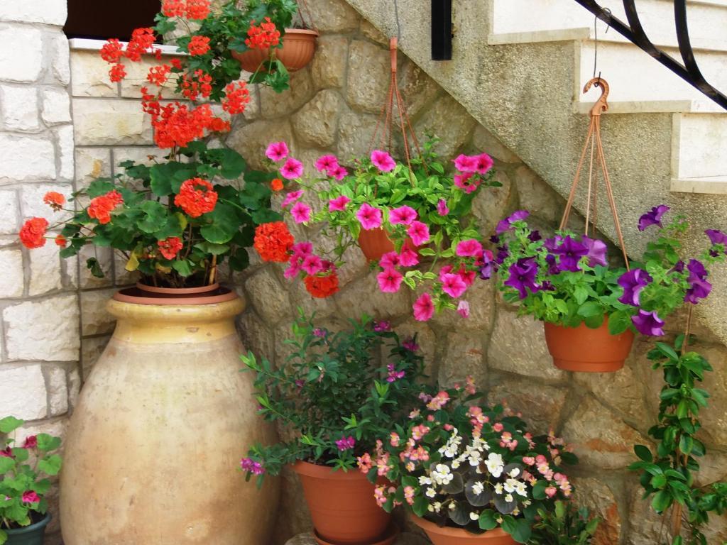 Apartments Beba Малий Лошинь Номер фото